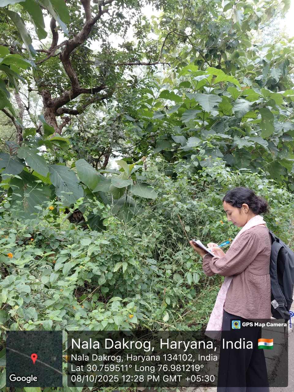 Haryana Forest Department - ZMP 41